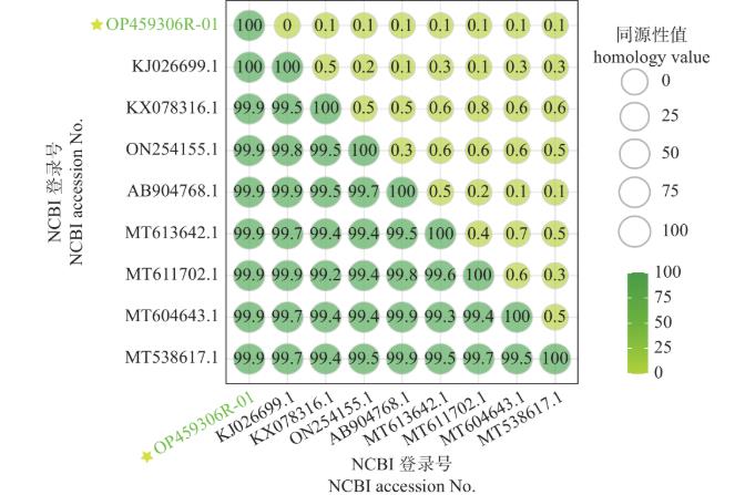青贮乳酸菌生长曲线、产酸和抑菌能力、抗生素耐药性测定（三）