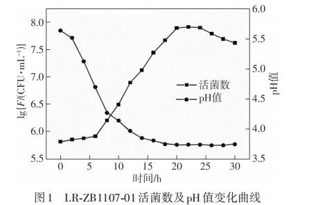 响应面法优化显著提升鼠李糖乳杆菌LR-ZB1107-01活菌数及其安全特性