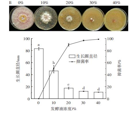 一株枸杞源抗真菌酵母的生长动力学及其发酵液抑菌活性分析