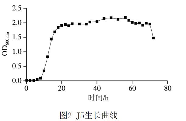 葡萄牙棒孢酵母J5的耐受性与发酵产物的挥发性代谢特征分析
