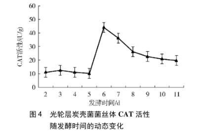 光轮层炭壳菌目标产物积累的发酵工艺基础：生长动态、酶活与多酚含量分析