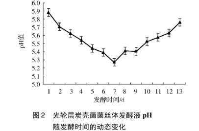 光轮层炭壳菌菌丝体液体发酵过程的动态解析：生长、酶活与多酚积累规律