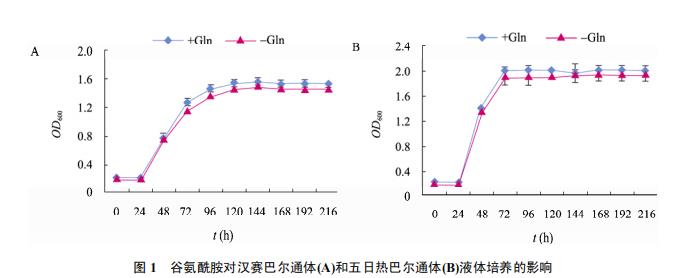 基于Biosense实时监测的巴尔通体液体培养条件优化与生长动力学分析