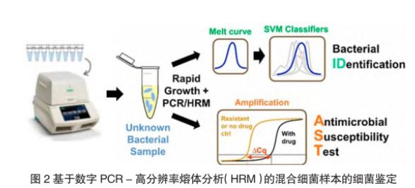 抗生素敏感性试验方法：稀释法、渗透检测法、自动化系统