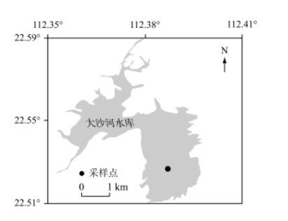 基于ocelloscope实时监测的铁对两种热带优势藻类生长动态的影响研究
