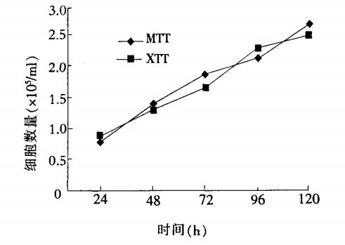 细胞生长曲线的测定方法：XTT比色法、MTT比色法、oCelloScope优劣势对比