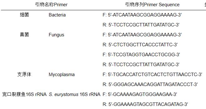 宽口裂腹鱼中肾组织细胞系的建立、冻存复苏及 16S rRNA 来源鉴定