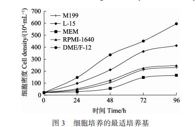 宽口裂腹鱼中肾组织细胞系的建立及最适培养条件筛选