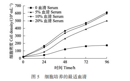 应用丹麦 BioSense oCelloScope 系统建立宽口裂腹鱼中肾组织细胞系